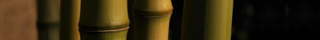 Bamboo Nodes