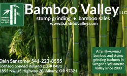 Bamboo Valley Business Card bamboovalley.com